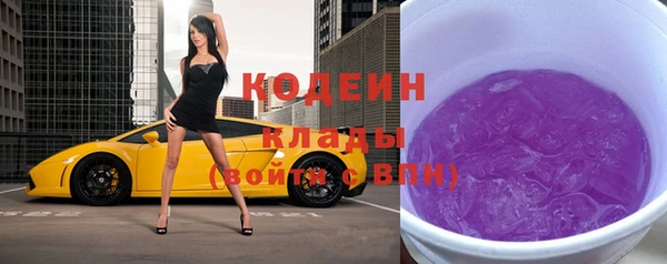 эйфоретик Арсеньев
