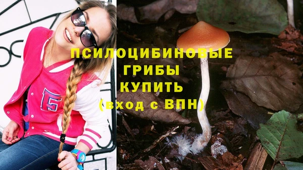 мяу мяу кристалл Армянск