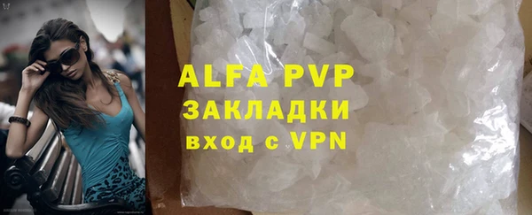 эйфоретик Арсеньев
